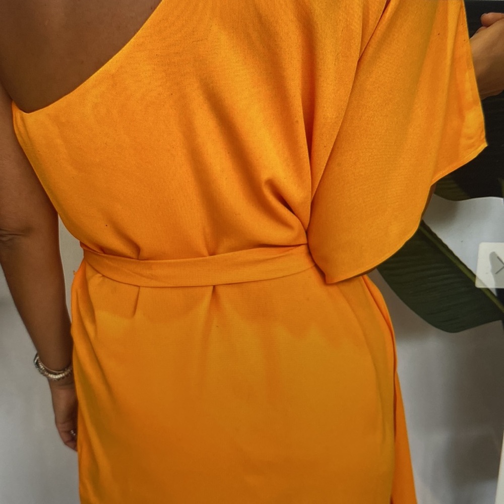 Show Me Your MUMU Trish Dress - Picture 4 of 6